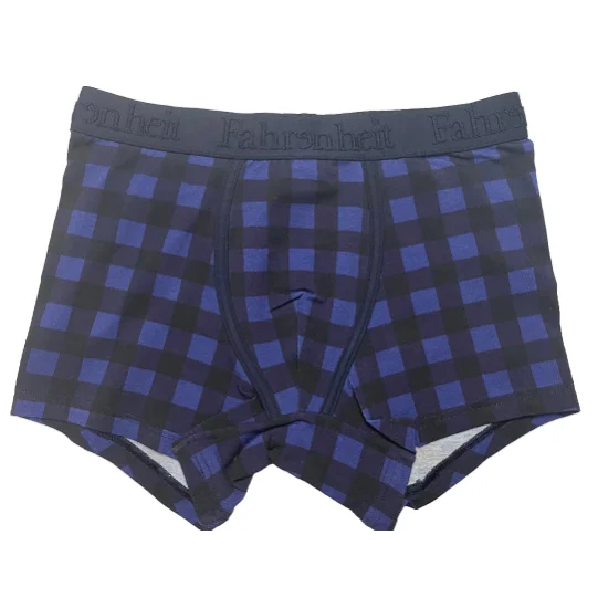 Grant Trunk/ Blue Buffalo Check