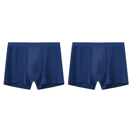 Men's Dry-Fast Polyamide Trunks Underwear (2pcs Pack)