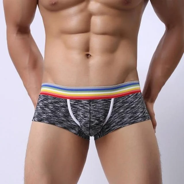 Rainbow Band Mesh Square Cut Boxer Briefs